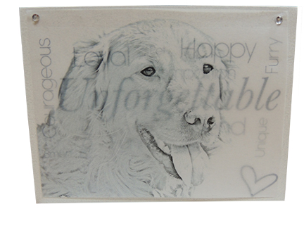 card cover