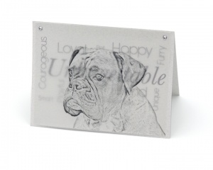 Boxer blank all-occasion pet notecard with envelope