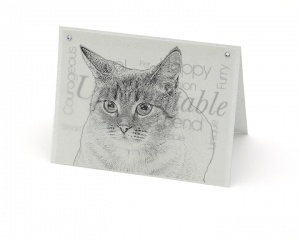 Cat 2 blank all-occasion pet notecard with envelope