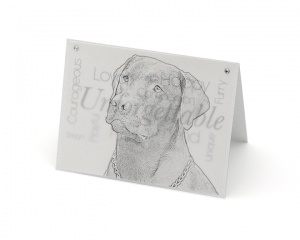 Labrador blank all-occasion pet notecard with envelope