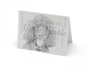 Poodle blank all-occasion pet notecard with envelope
