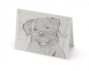 Rottweiler blank all-occasion pet notecard with envelope