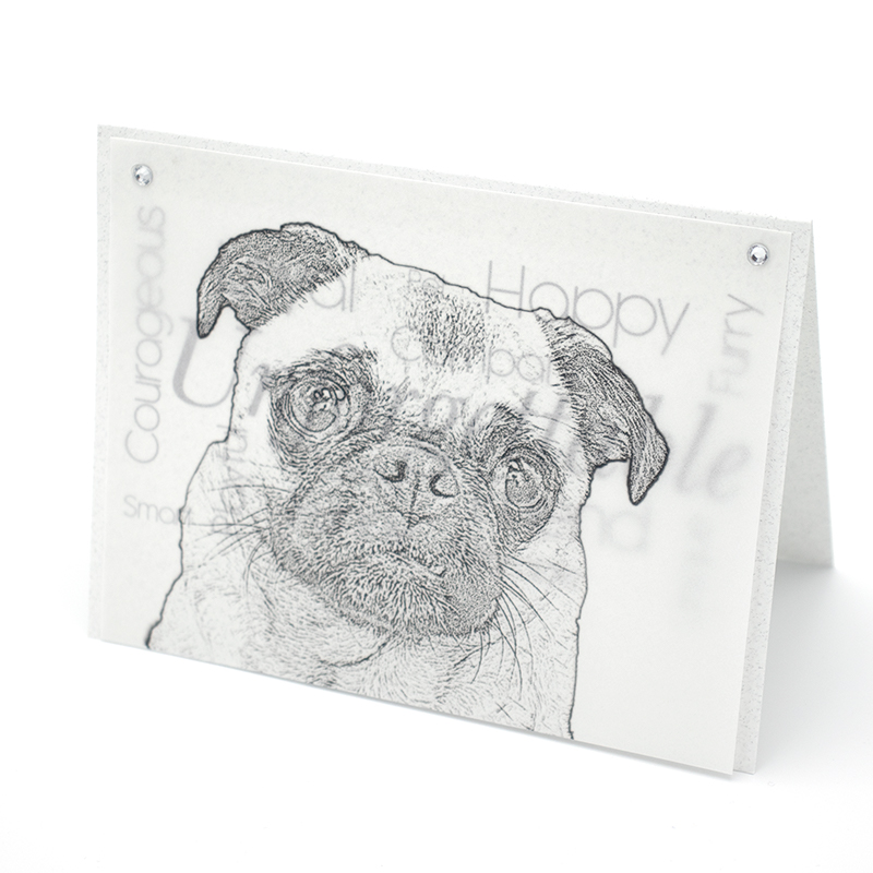 card cover