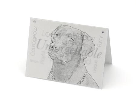 Labrador blank all-occasion pet notecard with envelope